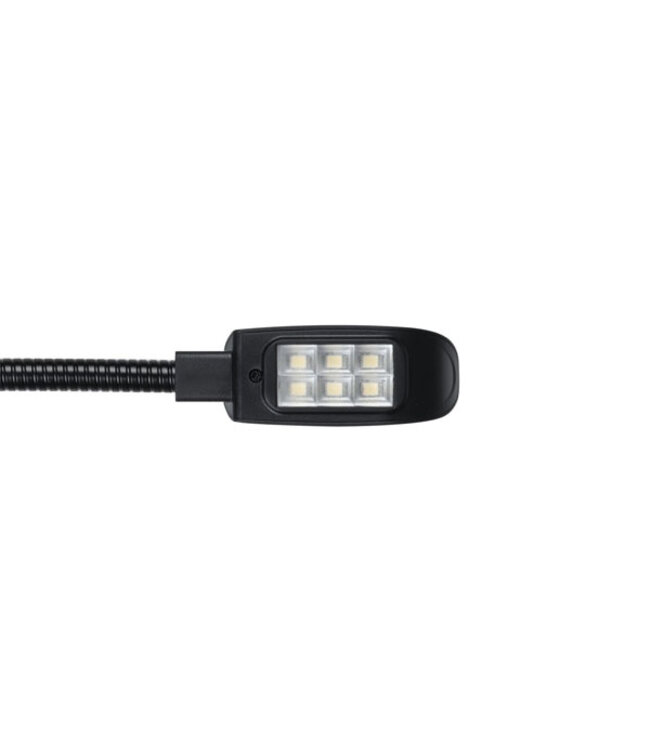 Showtec GooseLight XLR, CW