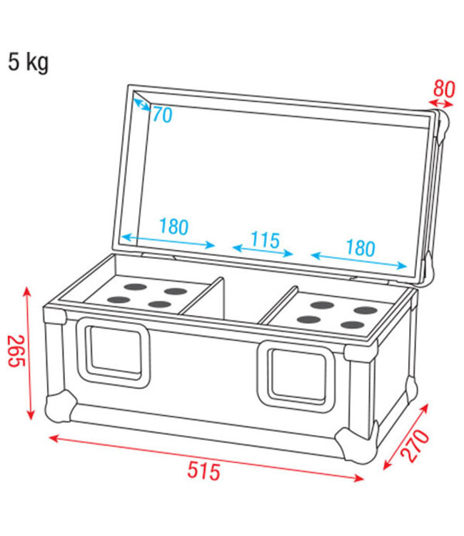 Showgear Pro  Case for 12 mics