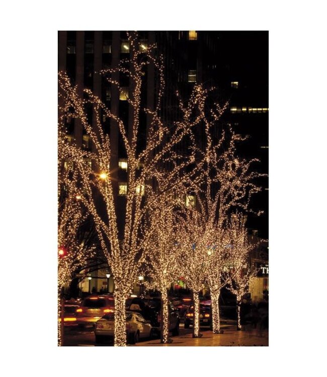 Showtec LED Rubber String Light WW