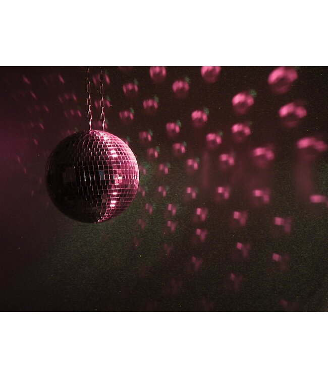 EUROLITE spiegelbol Set 30cm met pinspot