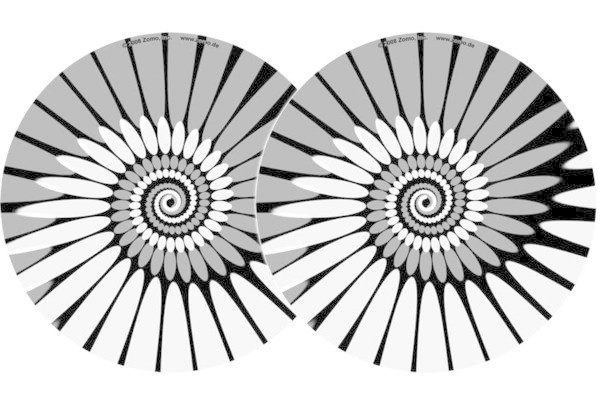 Zomo Zomo Slipmatten Paint wit Doppelpack