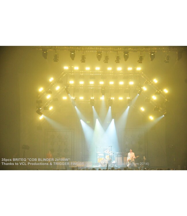 BRITEQ  COB Blinder 2x100W