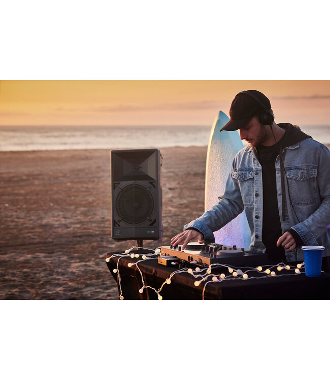 AlphaTheta Wave-Eight draagbare accu bluetooth speaker