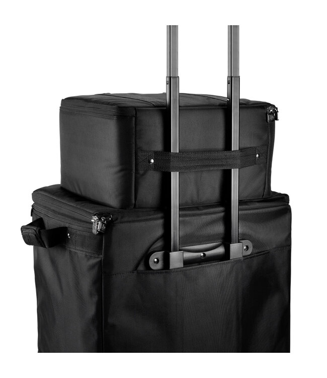 LD Systems DAVE 10 G4X hoes set