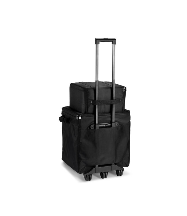 LD Systems DAVE 10 G4X hoes set