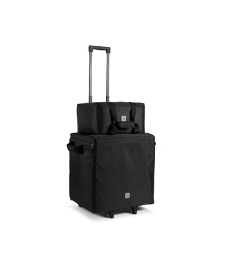 LD Systems DAVE 10 G4X hoes set