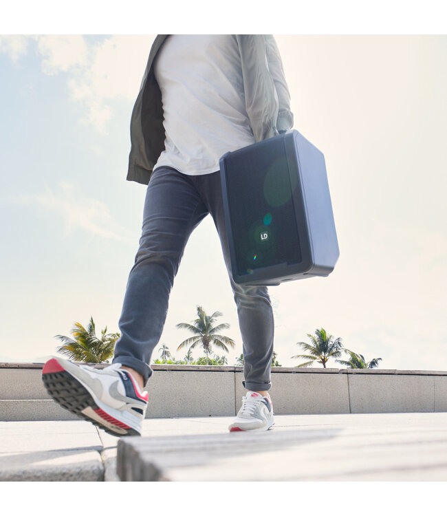 LD Systems ANNY 8 accu speaker stage black