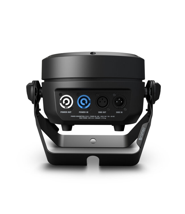 Cameo Root par TW 7x4 wit