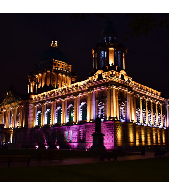 Cameo flat pro floodlight IP65 tri COB RGB