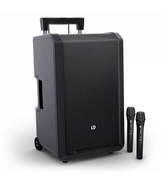 LD Systems ANNY 12 HHD2