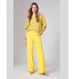 Corel Amsterdam Corel Amsterdam Lilly Yellow