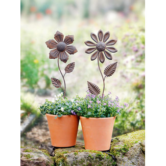 Dream-Garden Tuinsteker planten gazonsteker set van 2 bloemen