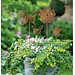 Dream-Garden Tuinstekerset bloemen & vlinders (4 stuks)