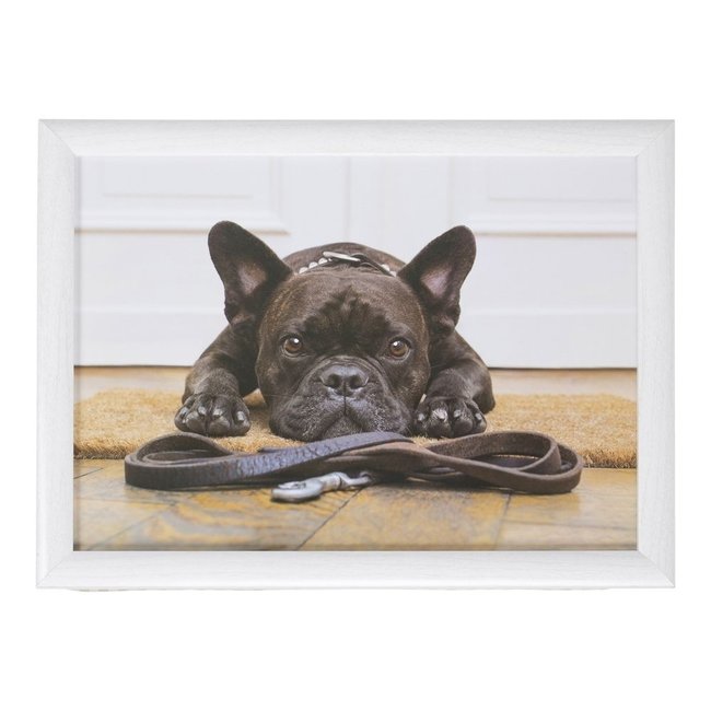 Mars en More Schootkussen laptray Humor Franse Bulldog