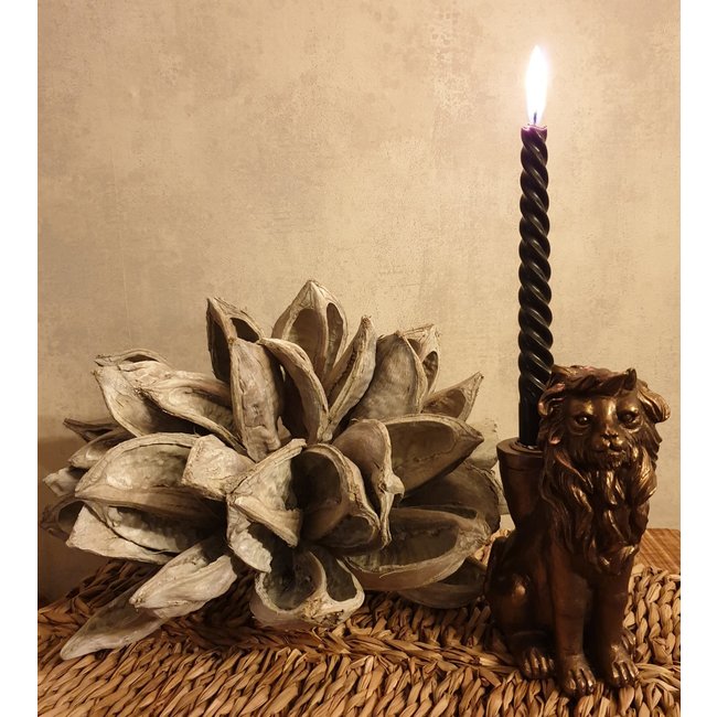 Kandelaar Aiden de leeuw brons polystone-10,5x6,2x15cm-1 stuks