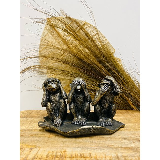 Dream-Living Aapjes horen zien zwijgen apen zittend in blad