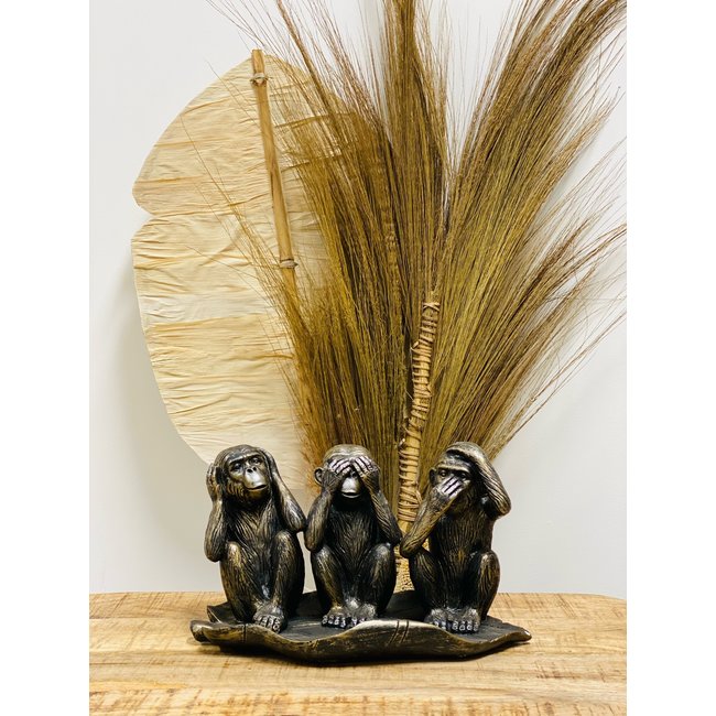 Dream-Living Aapjes horen zien zwijgen apen zittend in blad