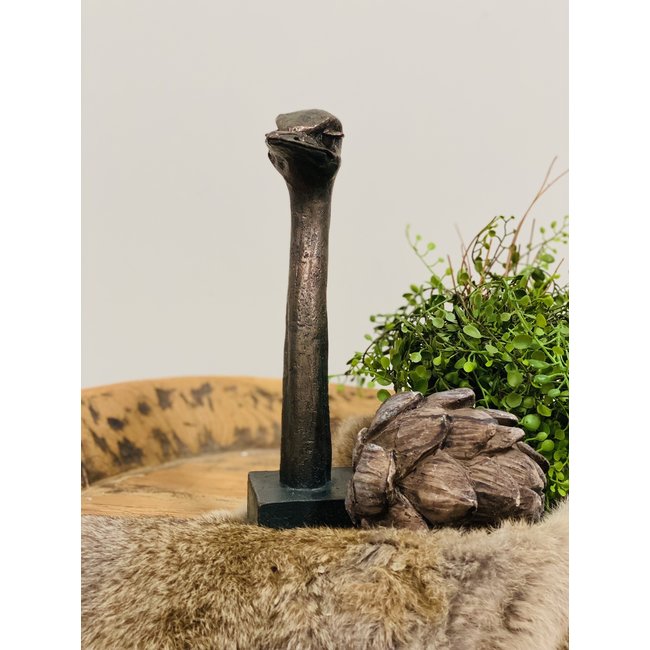 Dream-Living Sculptuur struisvogel koper polystone