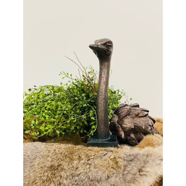 Dream-Living Sculptuur struisvogel koper polystone