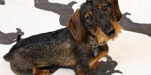 Energie kosten besparen doe je met een nieuwe warme plaid en of tochtkussen