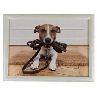 Schootkussen laptray humor jack russell 43cm