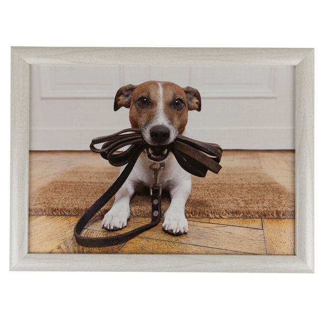 Schootkussen laptray humor jack russell 43cm