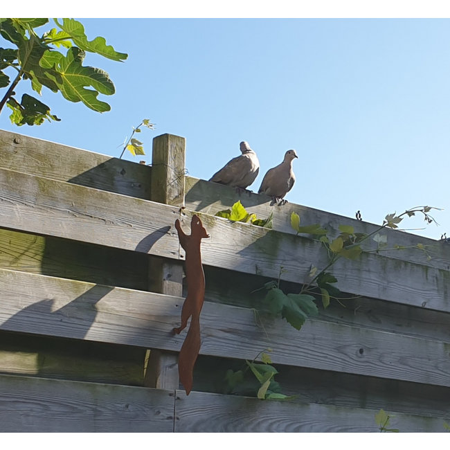 Dream-Garden Decoratie eekhoorn voor in boom -met pin