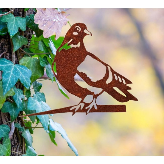 Dream-Garden Tuindecoratie duif Rocky 25x19cm