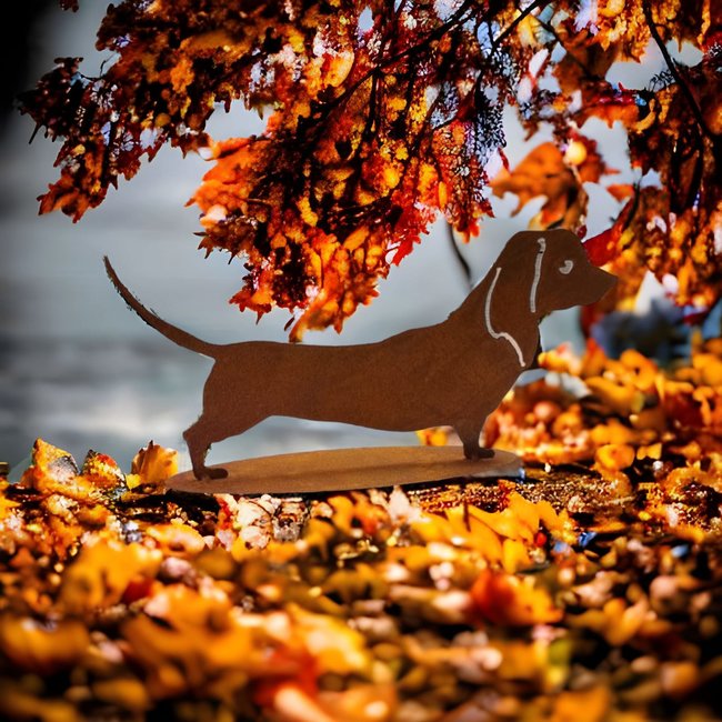 Dream-Garden Tuinbeeld  Dude de kortharige  teckel 19x 40 cm