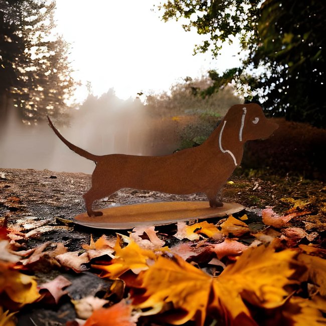 Dream-Garden Tuinbeeld  Dude de kortharige  teckel 19x 40 cm