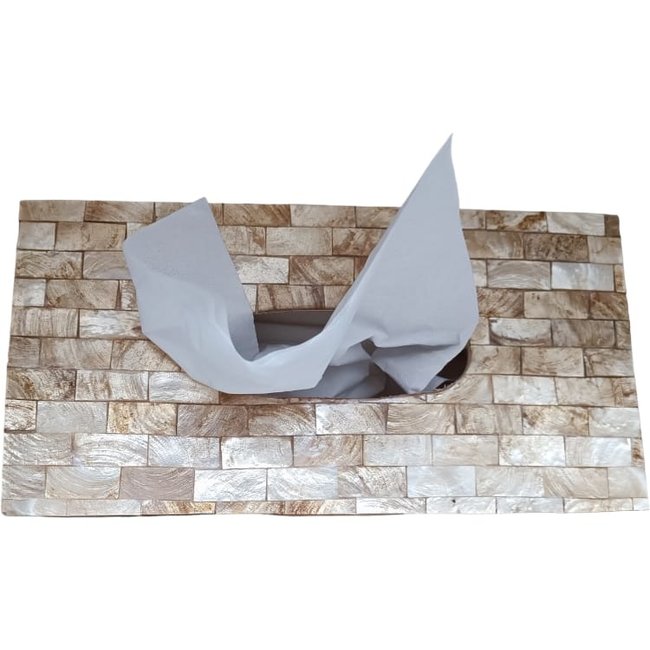Dream-Living Tissue box goud Capiz schelpen 24x12x7cm