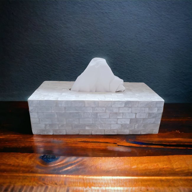 Dream-Living Tissue box wit Capiz schelpen 24x12x7cm