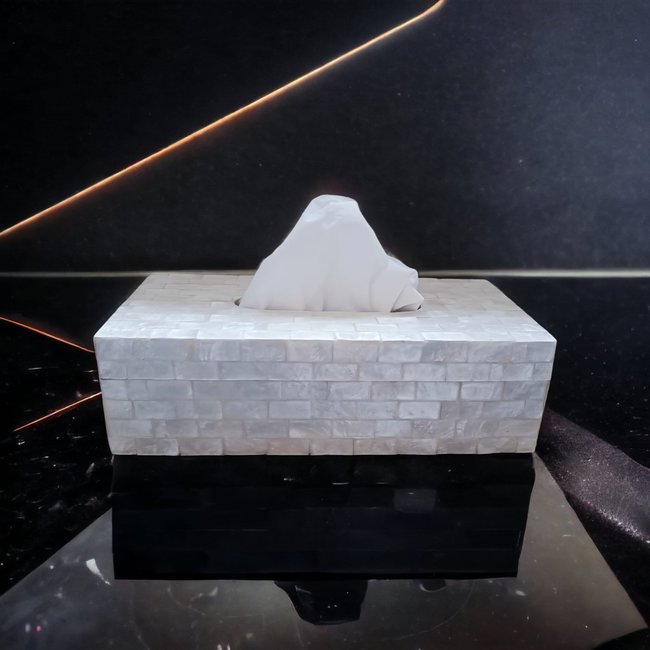 Dream-Living Tissue box wit Capiz schelpen 24x12x7cm