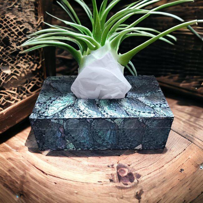 Dream-Living Luxe Tissue box donkere Abalone schelpen 24x12x7cm