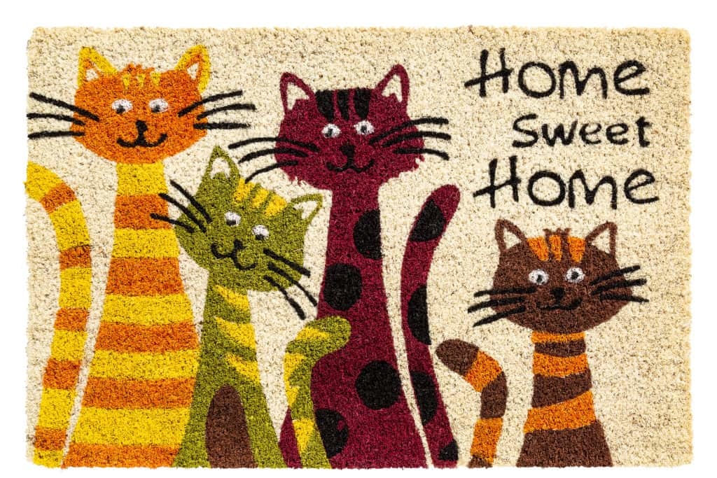 Kokosmat Welcome rood - deurmat 40x60 cm - antibacteriële entreemat