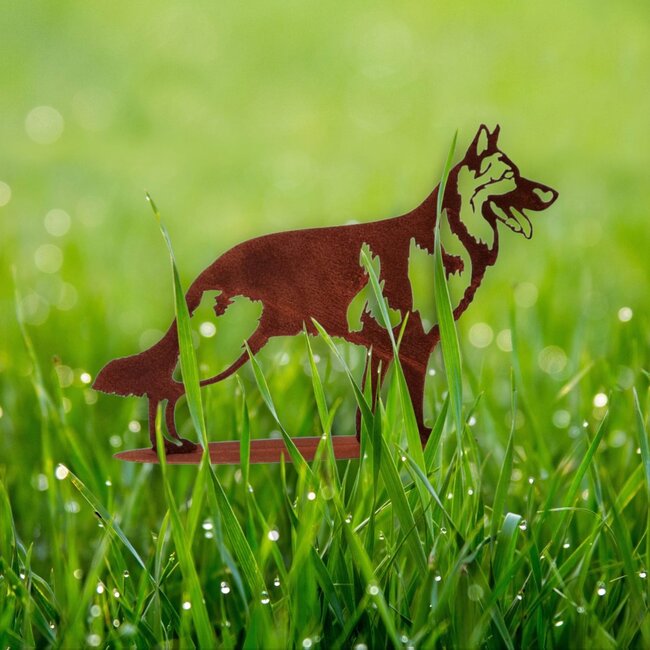 Dream-Garden Tuinbeeld  Daya de  herdershond -B38 x H26cm