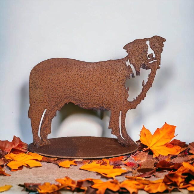 Dream-Garden Tuinbeeld  Dobby de  border collie -B38 x H26cm