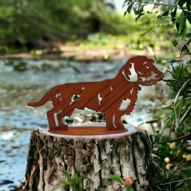 Dream-Garden Tuinbeeld  Boef de Ruwharige teckel  21 x37 cm