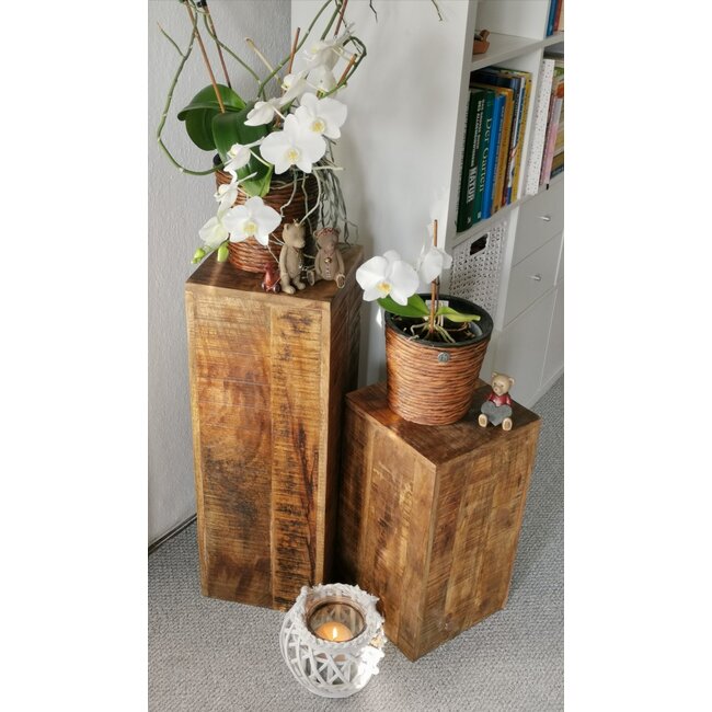 Dream-Living Plantenzuil vierkant  van mangohout 73x27x27 cm