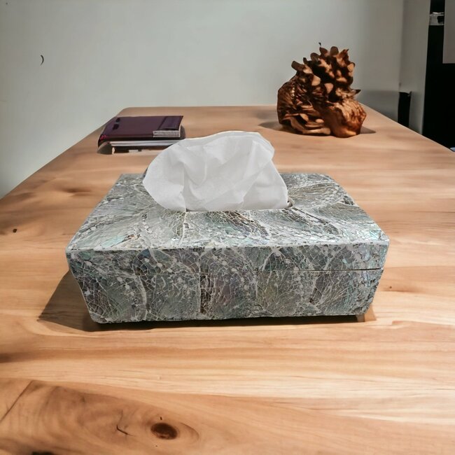 Dream-Living Luxe Tissue box lichte  Abalone schelpen 24x12x7cm