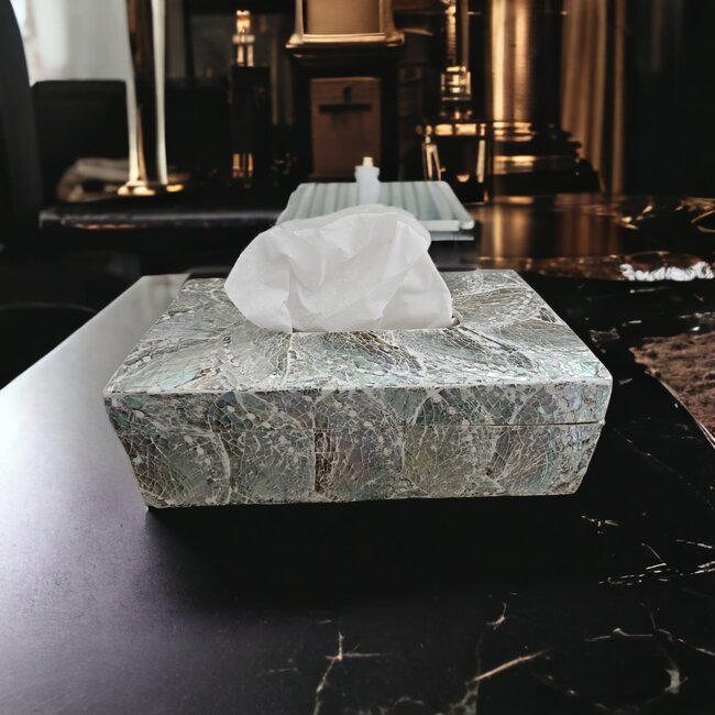 Dream-Living Luxe Tissue box lichte  Abalone schelpen 24x12x7cm