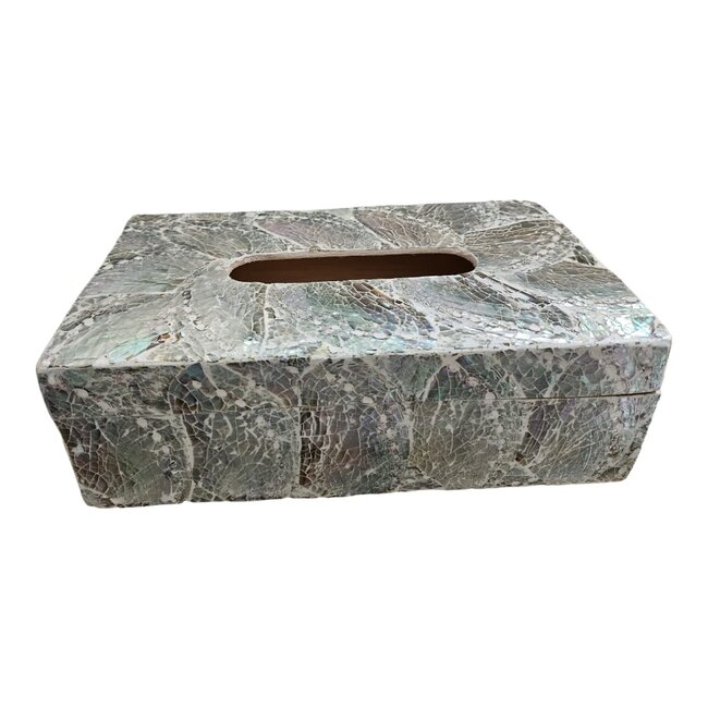 Dream-Living Luxe Tissue box lichte  Abalone schelpen 24x12x7cm