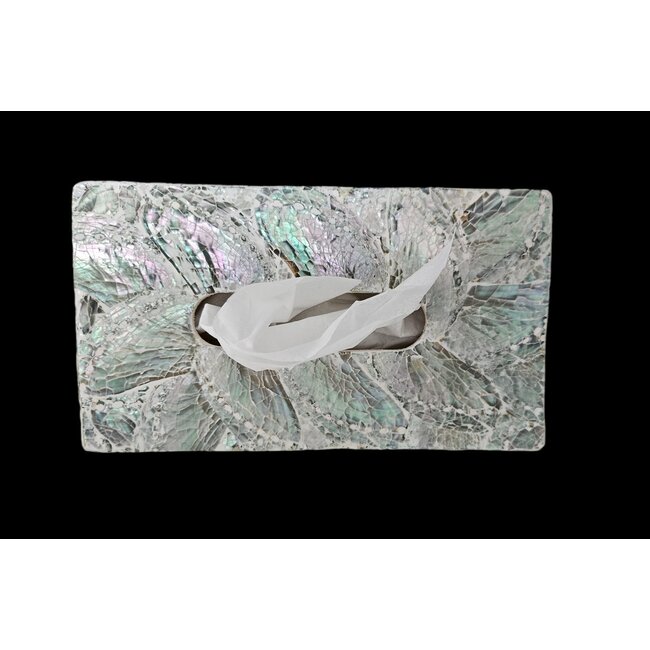 Dream-Living Luxe Tissue box lichte  Abalone schelpen 24x12x7cm