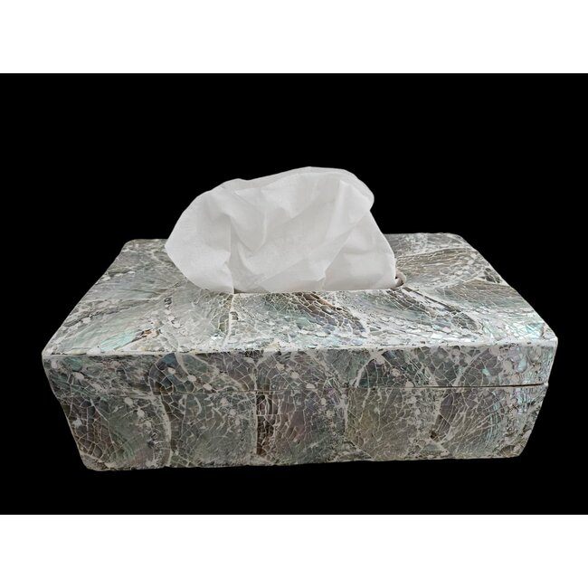 Dream-Living Luxe Tissue box lichte  Abalone schelpen 24x12x7cm