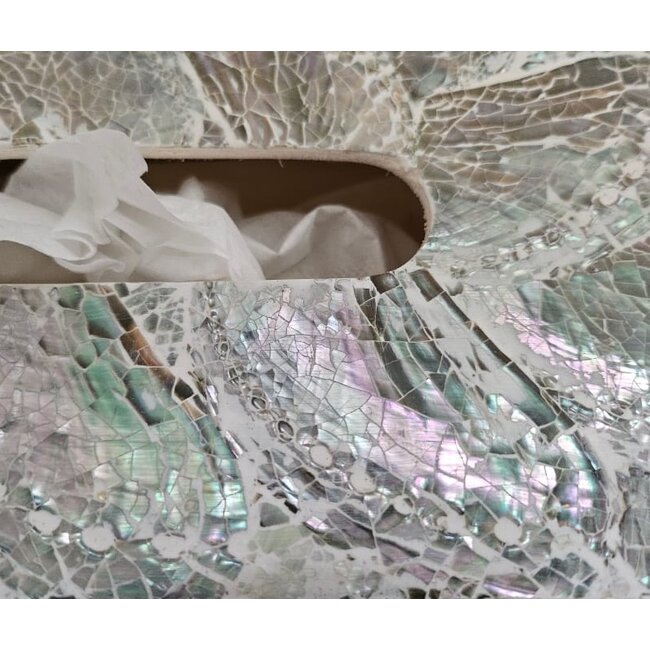 Dream-Living Luxe Tissue box lichte  Abalone schelpen 24x12x7cm