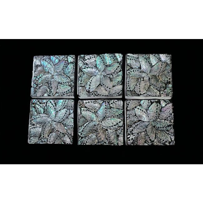 Dream-Living Zes onderzetters donkere Abalone schelpen 10x10x1cm