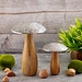 Dream-Living Mangohouten paddenstoelen 2 stuks
