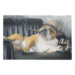 Mars & More deurmat humor engelse bulldog 75x50cm