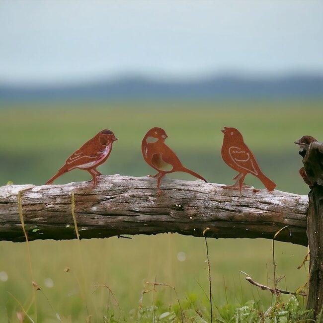 Dream-Garden Tuindecoratie drie vogels roest set 1