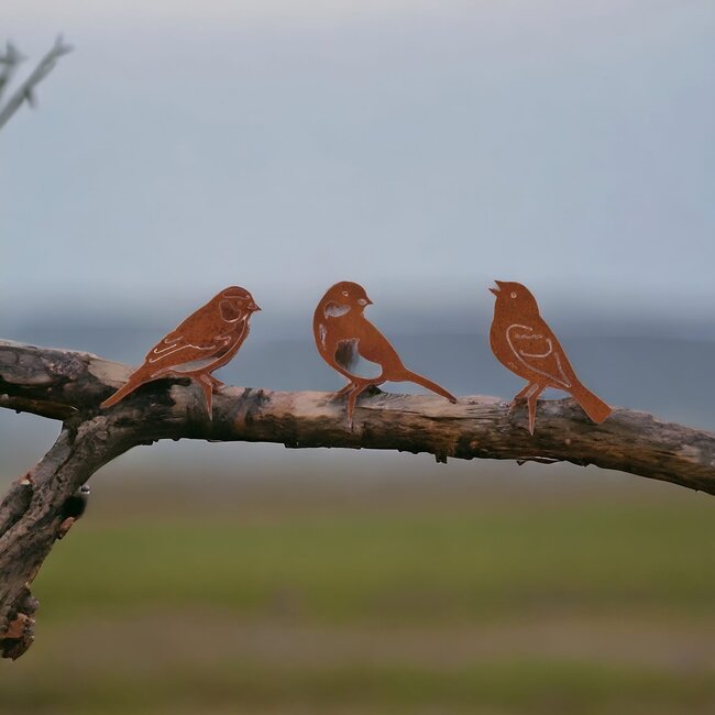 Dream-Garden Tuindecoratie drie vogels roest set 1